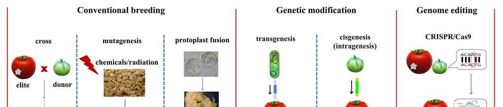 Klasické šlechtění x GM x genome editing - limitované využití pro změny vlastností proč?