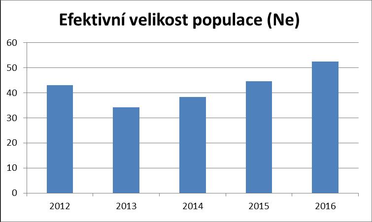 Efektivní velikost