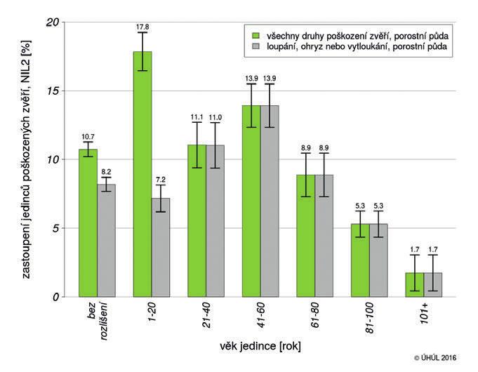 Poškození zvěří podle věkových tříd Tabulka č. 5 a graf č. 3 uvádí zastoupení jedinců jakkoliv poškozených zvěří a jedinců poškozených pouze loupáním, ohryzem nebo vytloukáním v rámci věkových tříd.