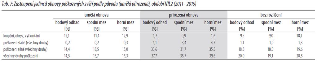 Zastoupení poškozených jedinců je v rámci přirozené obnovy výrazně vyšší (37,7 %) než v obnově umělé (14,5 %).