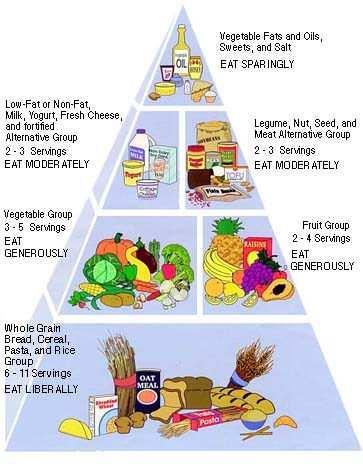 Doporučená struktura výživy z