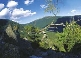 Das Gesenke hat Hunderte gut markierter Wander- und Radwanderwege. Sie können also einen Ausflug nach Rejvíz (dt.