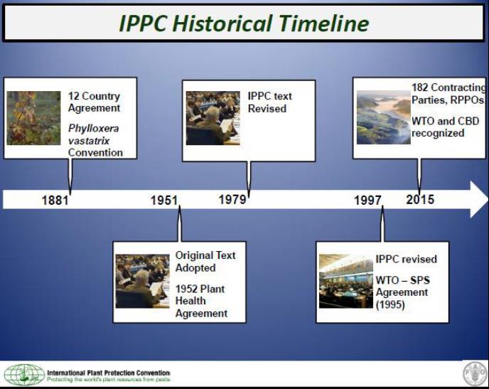 IPPC - historie ISPM - 36 průvodců a doporučení - doporučení pro fytosanitární opatření -