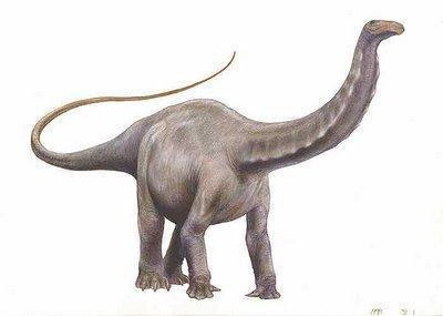 http://www.pohy.kx.cz/brachiosaurus3.