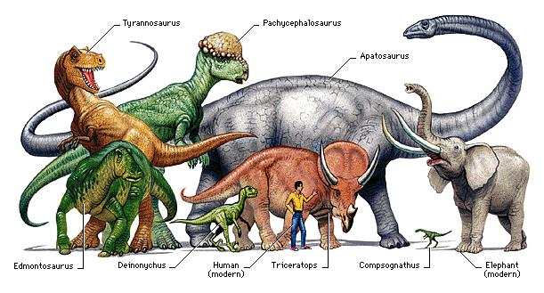 Býložraví dinosauři Brachiosaurus Apatosaurus Stegosaurus