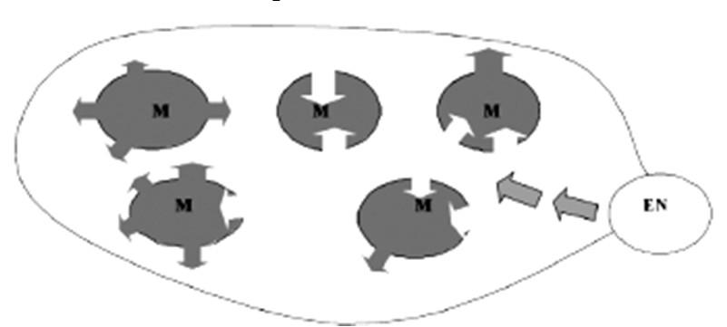 Varianty modelu démické difuze podle Rona Pinhasi M1a: šíření neolitiků s