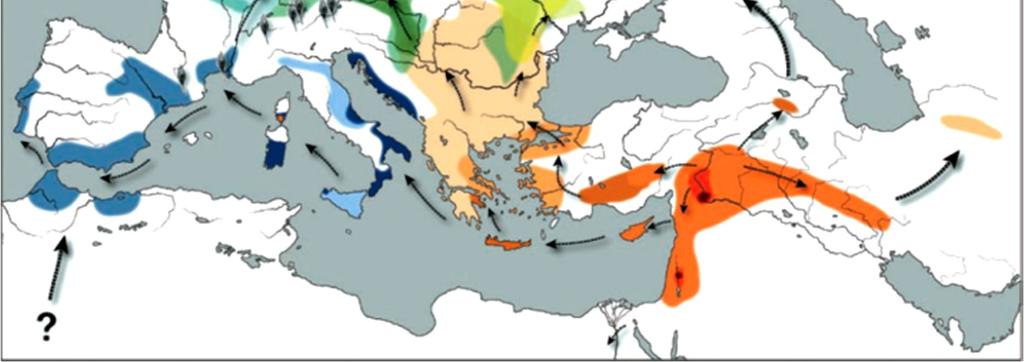 zásadním významu dopadu rychlých klimatických