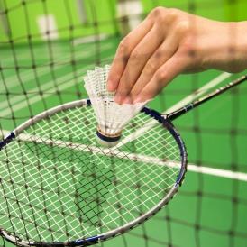 Badminton na Jarově BADMINTON NA JAROVĚ Rektorský sportovní den VŠE Místo: Venkovní hřiště v areálu studentských kolejí na Jarově Termín: Středa 18. 4.