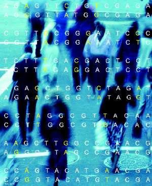 Geny a lidské nemoci Člověk má cca 20 000 genů Je známo cca 8 000