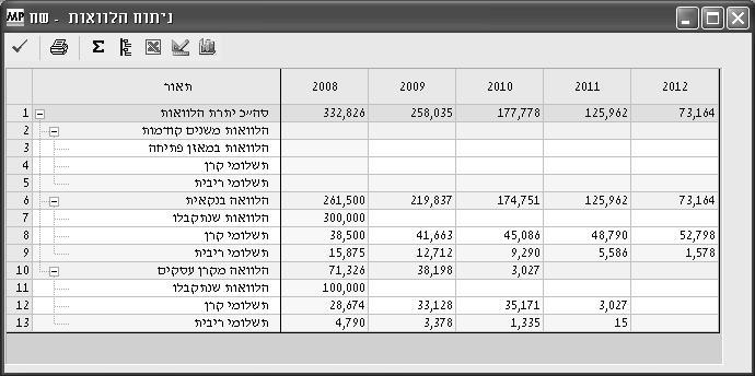 פרטי התוכנית מדריך למשתמש תפריטפרטיהתוכנית, המופיע תחת תפריט ניתוח, כולל מסכים המציגים מידע מפורט על נושאים שונים של התוכנית העסקית.