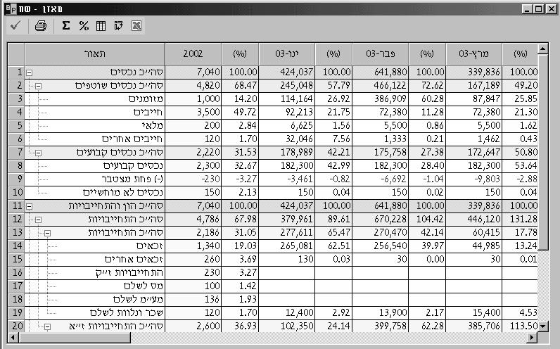 מאזן מדריך למשתמש מסך המאזן מציגאת המאזן הצפוי לעסק המתוכנן בסיום כל תקופה מתקופות התכנון. המאזן הוא דו"ח פיננסי המציג את מבנה הנכסים,ההון וההתחייבויות של העסק בנקודת זמן מוגדרת.