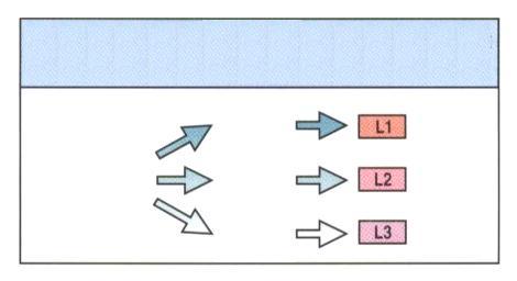 HETEROCHRONNÍ MUTACE model řízení časového vývoje