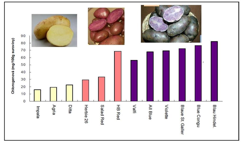 VLIV SUROVINY Vitamin Rozmezí (mg/kg) Průměrná obsah (mg/kg) Vitamín C 28 420 167 Thiamin 0,01 0,26 0,09 Riboflavin 0,0 0,12 0,07 Niacin 0,2 0,56 1,26 Antioxidační kapacita u fialových brambor je v