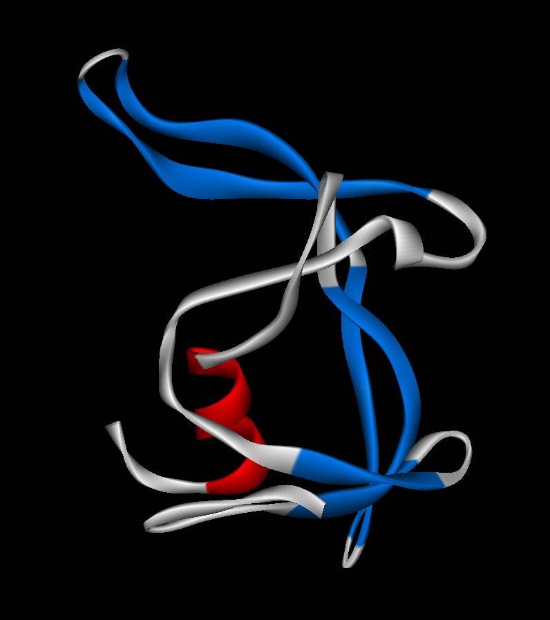 HIV-1 proteáza M-PMV proteáza (12 kda)