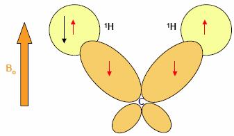 NMR spin-spinová interakce Energetické hladiny jednotlivých jader jsou ovlivňovány spinovými stavy jader v okolí. Toto je nazýváno nepřímou spin-spinou interakcí.