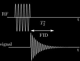 Obrázek 6: FID signál vyvolaný saturačním 90 pulzem [10] 1.6 Prostorové kódování Lokalizace voxelu, tj.