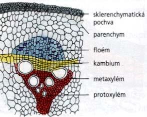 (koncentrické)