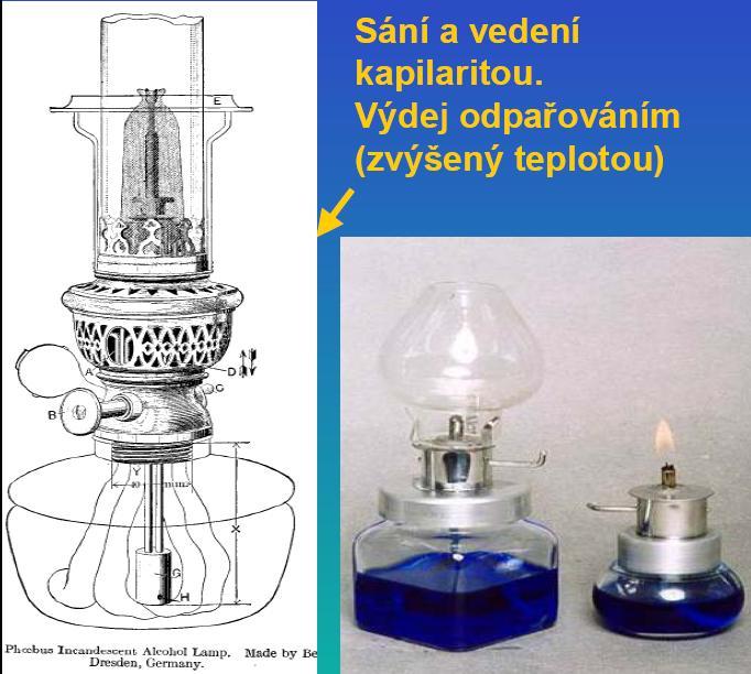 3. Výdej vody rostlinou: transpirace, otevírání a zavírání průduchů Jak dostat vodu z kořenů až do listů......a kde na to vzít energii? Rostlina jako petrolejka? ano, až na pár výjimek:.