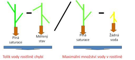 3. Obsah vody v rostlině Obsah vody v rostlině 60 až 95% čerstvé hmotnosti listů 5 až 15% v semenech charakterizuje se veličinami: 1) vodní sytostní deficit (VSD) kolik vody (%) chybí rostlině do