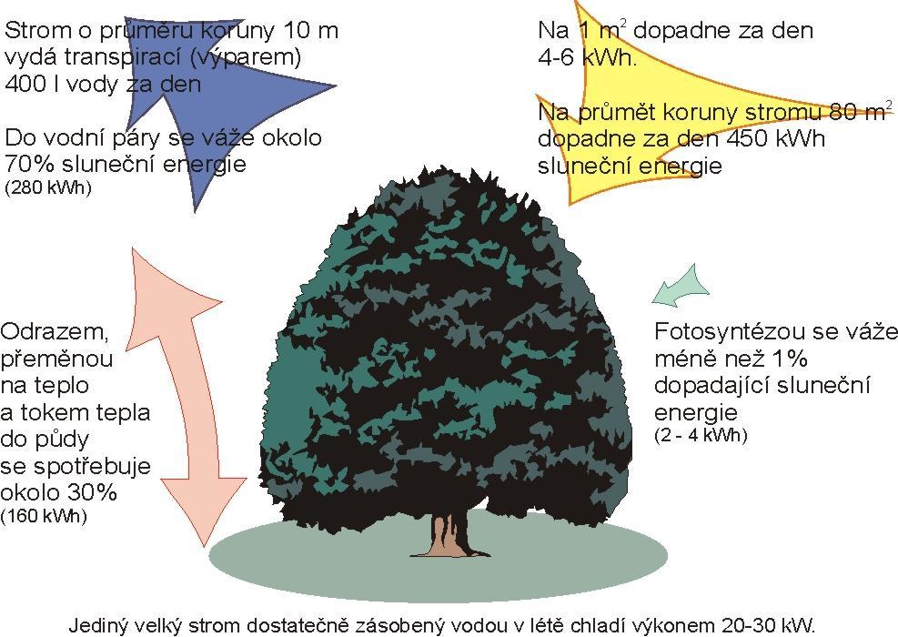 2007 Distribuce sluneční energie v odvodněné krajině a krajině dobře zásobené