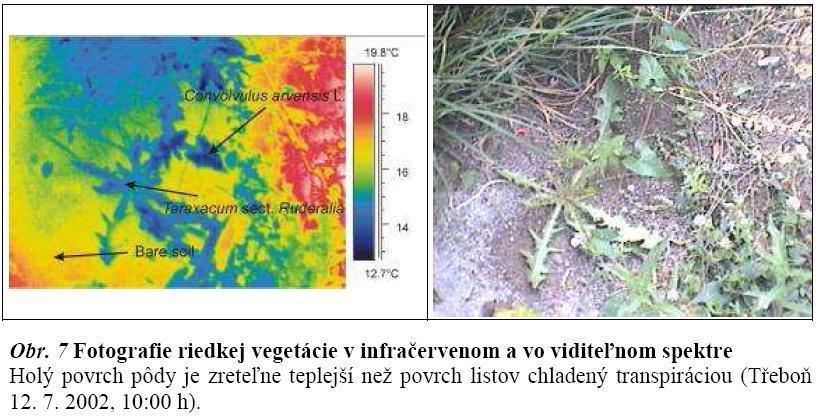 . 200 milionů litrů = přibližně stejné množství energie jako je vyprodukováno za 1 den ve všech elektrárnách v ČR 4) Úloha evapotranspirace v