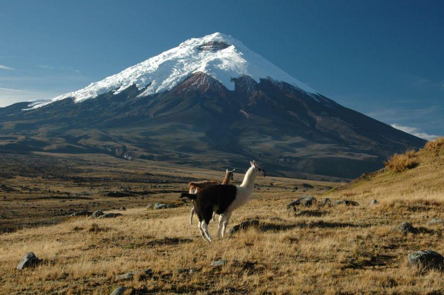 Cotopaxi, Ekvádor Nejvyšší sopka světa 5 911 m Erupce 1534 ukončila válku mezi Inky a Španěly Jedna z nejprudších zaznamenaných erupcí, ke