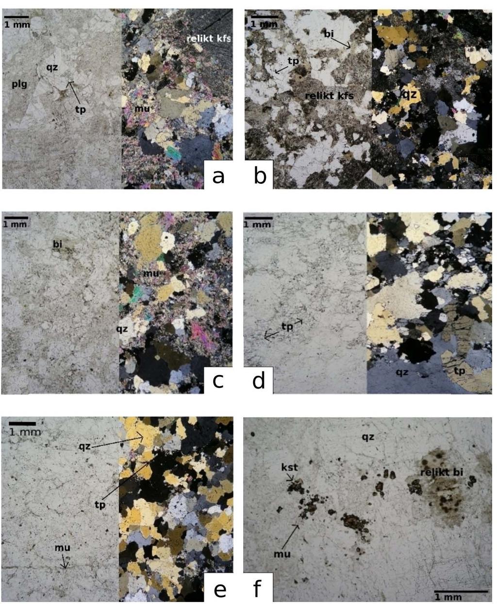 Obr. 15: Mikrofotografie greisenizovaných granitů a greisenů blatenského masivu: (a) greisenizovaný topaz-biotitický granit, Sněžná hůrka (MH-17); (b) greisenizovaný lithný granit, Podlesí (BL-25),