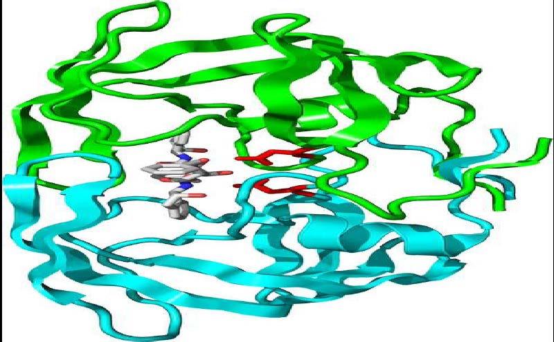 CADD = CAMD Molecular docking Je-li známá struktura receptoru (nebývá pravidlem), lze pomocí