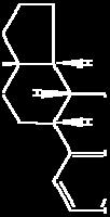 Steroidy - kortisol;