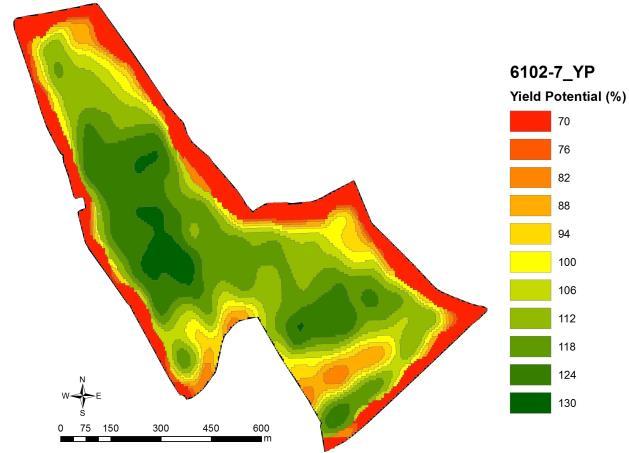 Obr. 45 Mapa potenciálního výnosu od dodavatele senzorového systému (vlevo) a mapa výnosu zrna zaznamenaného při sklizni plodiny (vpravo) Prostorové rozložení výnosového potenciálu a výnosové