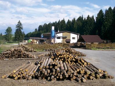 februára 1993 o výmere 7425 ha. rozhovor p. Ján Kubáň, Lesný komposesorát, Partizánska Ľupča 16 Aký bol ďalší rozvoj prevádzky? Na začiatku nemal komposesorát okrem hory takmer nič.