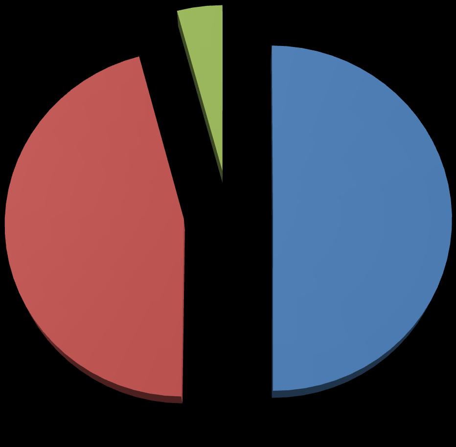 Národný štipendijný program 2006-2010 73 787 864