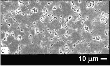 slinováním za vysokých teplot a tlaků a kombinuje vlastnosti krystalů diamantů a kovové pojící fáze. Rozdílné vlastnosti krystalů diamantu a polykrystalického diamantu viz tab. 1.