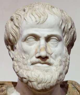 Systém a evoluce... Systematika Aristoteles 384-322 př. n. l. např.