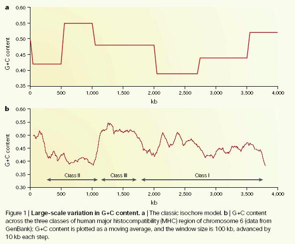 Izochorový model organizace genomu Isochory: bloky genomové DNA (stovky kb-mb) s charakteristickým GCobsahem - fragmentace genomové DNA na fragmenty 30-100kb - separace fragmentů podle obsahu bází -