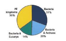 Minimální genom Bacillus subtilis 271 gen 4100 genů 192 genů zcela nepostradatelných na bohatém