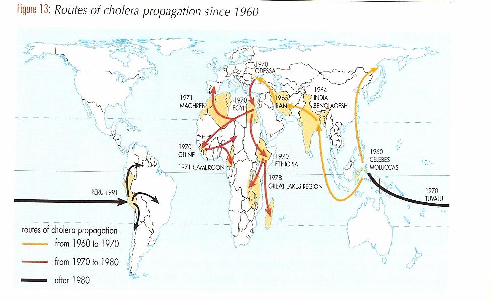 Cholera