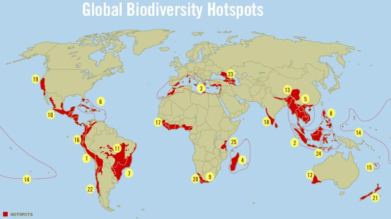 HORKÁ MÍSTA BIODIVERZITY - HOT SPOTS oblasti s vysokou koncentrací vzácných, ohrožených a především reliktních a endemických druhů 25 hotspots - 1,4% souše 0,6% chráněno - 44% end.
