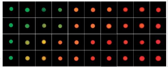 Je možné detekovat desítky až stovky analytů v jednom vzorku. Pro detekci je možné využít například interakce protilátka-antigen a párování bází nukleových kyselin.