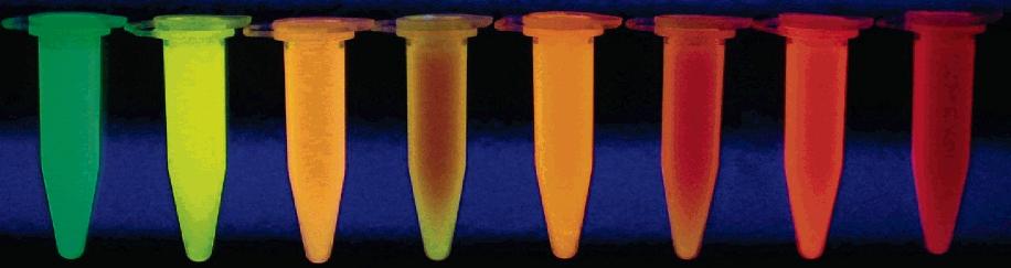 Polymerní dopované nanočástice Jedna nanočástice pojme tisíce molekul fluoroforu vysoká jasnost (brightness) Velikost několik nm až stovky nm Organické polymery, silikátové částice Vytváří se