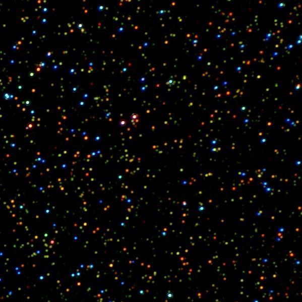 Optický mikroskopický snímek (temné pole) světla rozptýleného nanočásticemi Ag (nanosféry) Au
