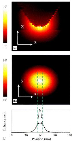 Hrotem zesílená Ramanova spektroskopie Tip Enhanced Raman Spectroscopy Od nanočásticové plasmonové resonance (SE) k hrotovému zesílení (TE) P. Hewageegana, M.