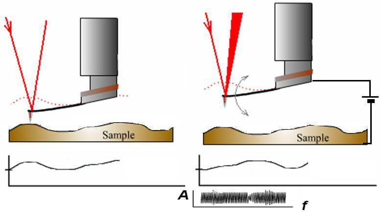 Mikroskopie povrchového náboje Electrostatic Force Microscopy EFM