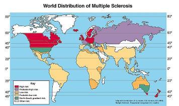 Sclerosis cerebrospinalis multiplex disseminata - vliv virů (morbilli, herpes, EB) bakterií?