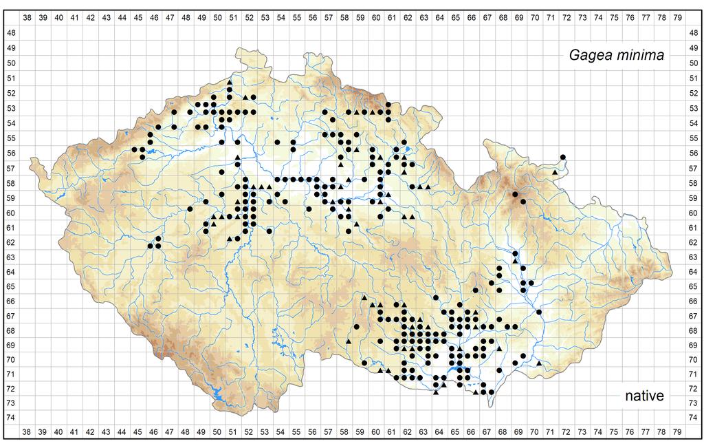 Distribution of Gagea minima in the Czech Republic Author of the map: Lucie Kobrlová, Michal Hroneš, David Horák Map produced on: 08-08-2017 Database records used for producing the distribution map