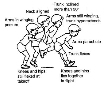 2.4.2.3.4.2 Horizontální skok ( horizontal jump ) Horizontální skok představuje explozivní pohyb, vyžadující koordinovanou souhru všech částí těla.