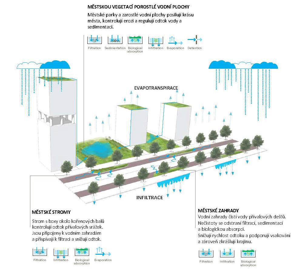 ŘEŠENÍ MODROZELENÉ INFRASTRUKTURY VEŘEJNÁ PROSTRANSTVÍ UVNITŘ MĚSTSKÉ ČTVRTI V PROSTORU MEZI BUDOVAMI musí být poskytnut k zadržování srážkové vody v zarostlých vodních
