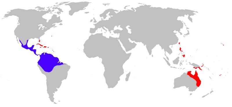 Jihoamerická ropucha obrovská (Bufo marinus = Rhinella marina), byla vysazena na severu Queenslandu, aby redukovala hmyzího škůdce (brouka Dermolepida albohirtum, Scarabeidae) na cukrové třtině.