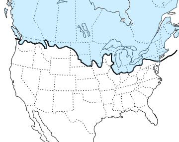 Invaze evropských žížal do Severní Ameriky Oblast (modře) zalednění během poslední doby ledové. Evropské druhy žížal se šíří severní Amerikou (vč.