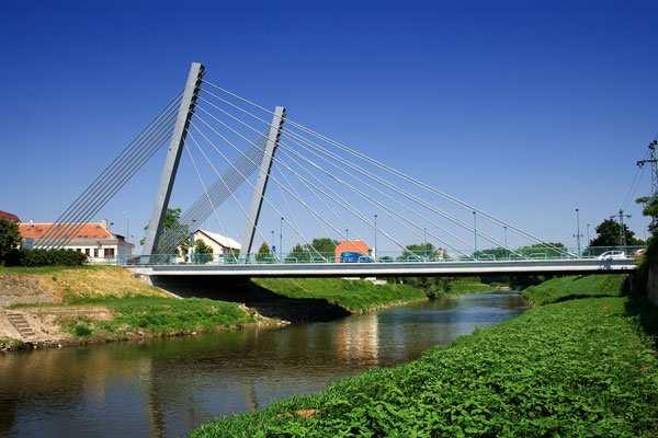 Zavěšené mosty Pro střední a velká rozpětí Má většinou dva pylony, trám mostovky je vyvěšován pomocí závěsů Pylony ocelové nebo betonové Závěsy mohou mít různé